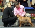 CAC Arcos de Valdevez 2010